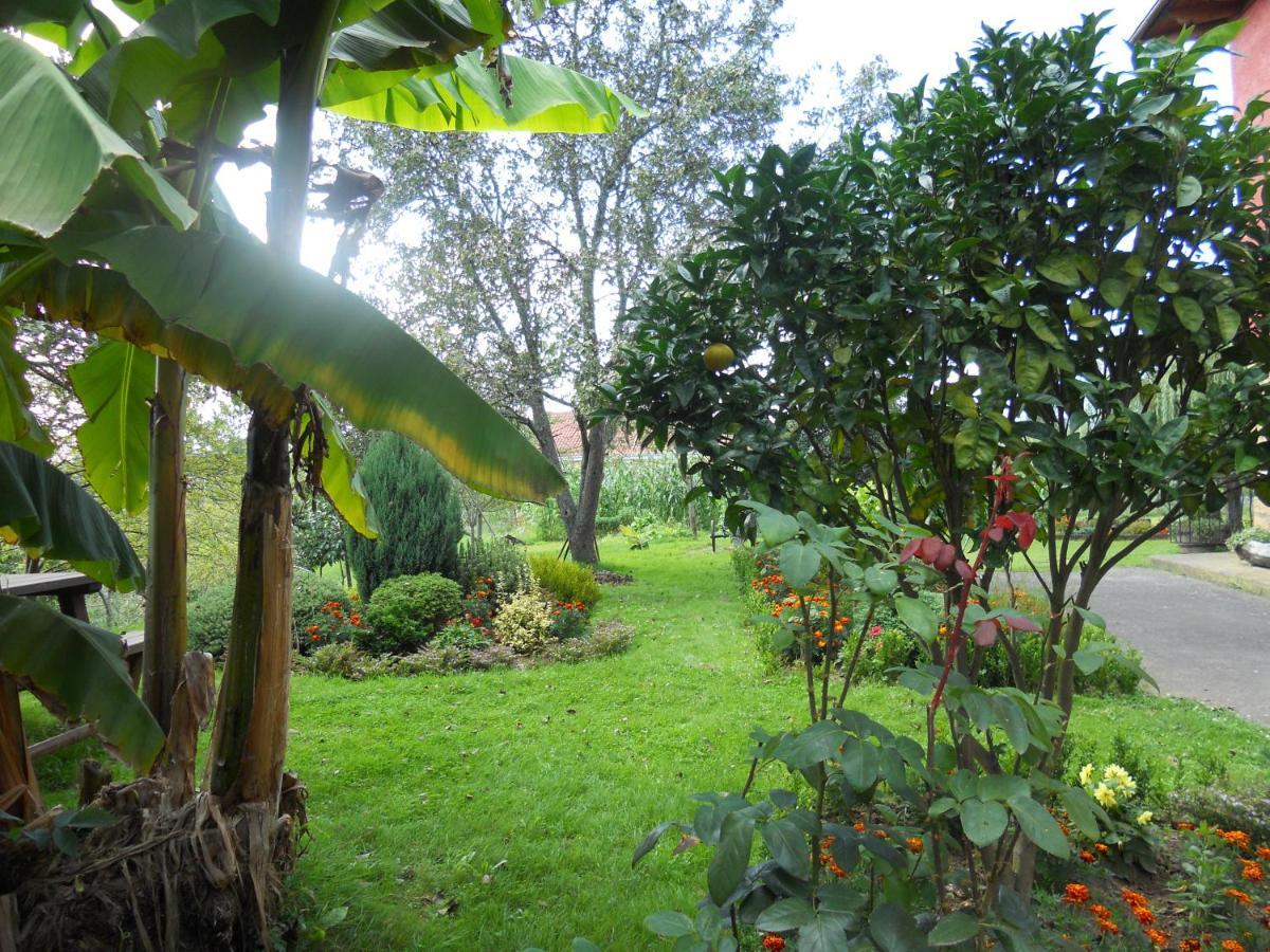 Casa Rural El Jondrigu Onís 外观 照片